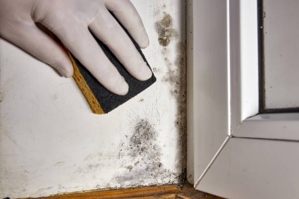 Best Residential Mold Inspection & Testing  in East Merrimack, NH