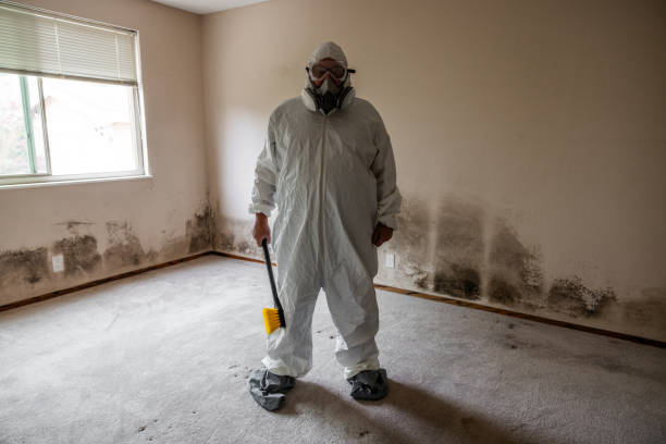 Best Mold Odor Removal Services  in East Merrimack, NH