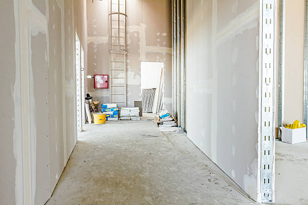 Best Comprehensive Air Testing for Mold Contaminants  in East Merrimack, NH